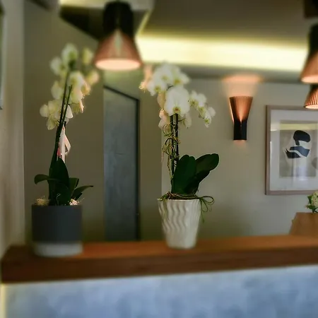 Hotel Sirenetta Grado